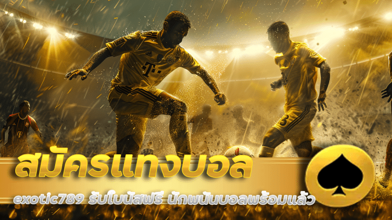 สมัครแทงบอล exotic789