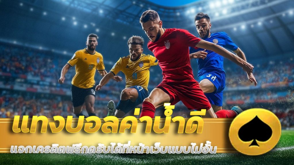 แทงบอลค่าน้ำดี areaslotzeed